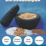 GAPOMEAL DIABETIC SUPPORT FOOD