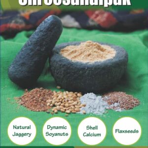 GAPOMEAL ENERGY BOOSTER