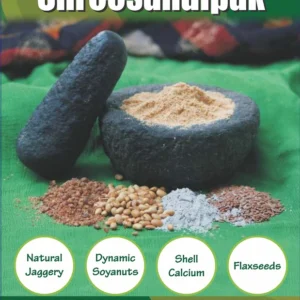 GAPOMEAL ENERGY BOOSTER