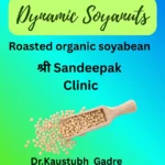 Dynamic Soyanuts (100 grams)