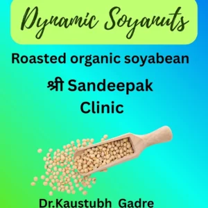Dynamic Soyanuts (100 grams)