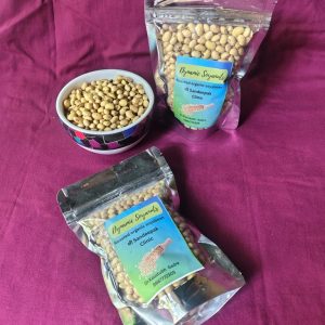 Dynamic Soyanuts (200 grams)