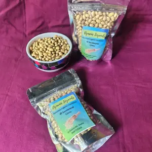 Dynamic Soyanuts (100 grams)