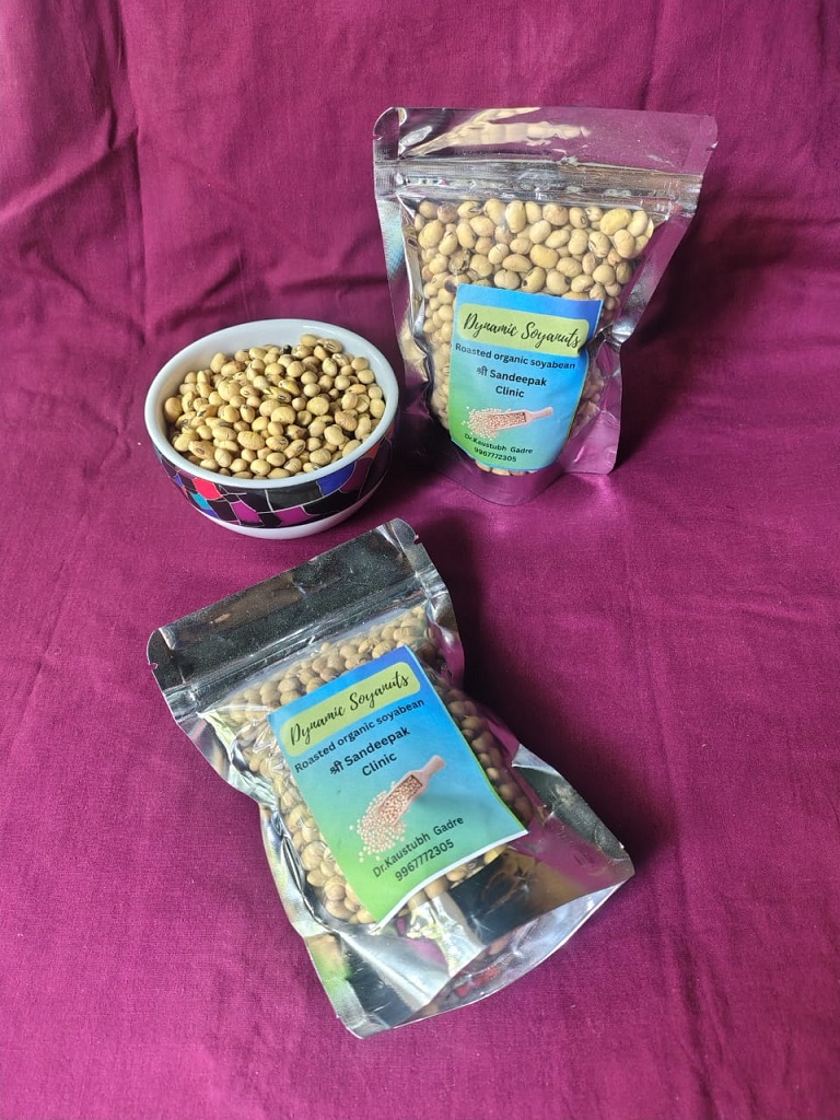 Dynamic Soyanuts (100 grams)